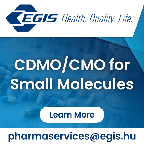 Small Molecule API Development Services