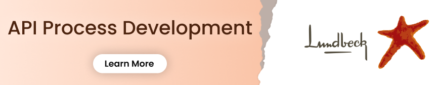 API Process Development 