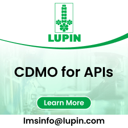Custom Synthesis and Process Development