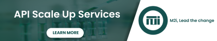 M2i Group API Scale Up Services