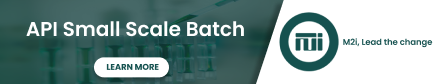 M2i Group API Small Scale Batch