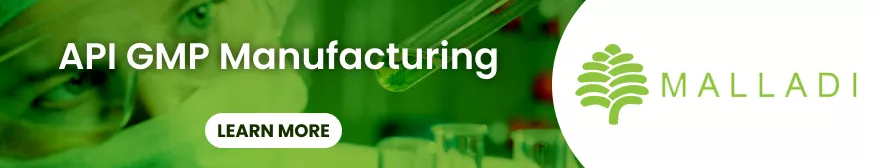 API GMP Manufacturing