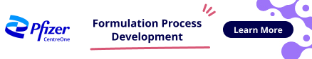 Formulation Process Development