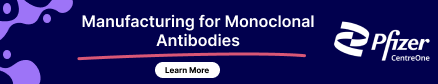 Manufacturing for Monoclonal Antibodies