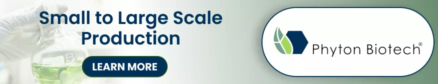 Small to Large Scale Production