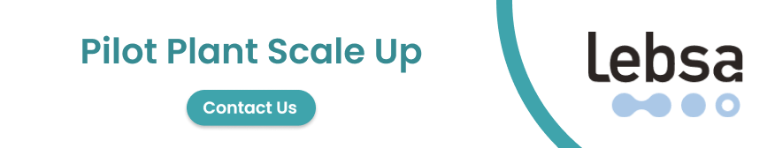 LEBSA GMP Pilot Plant Scale Up