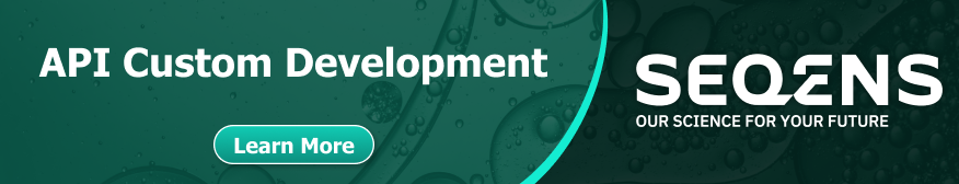 API Custom Development