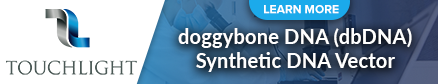 doggybone DNA (dbDNA) Synthetic DNA Vector