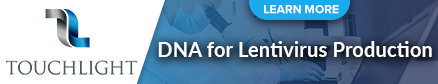DNA for Lentivirus Production
