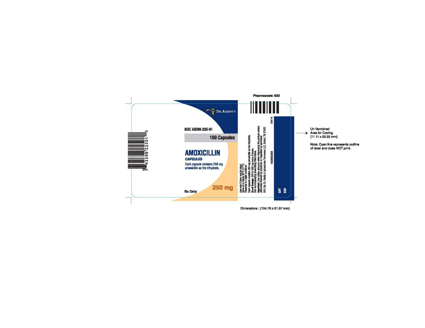 Amoxicillin Capsules Label Image - 250 mg, 100 capsules