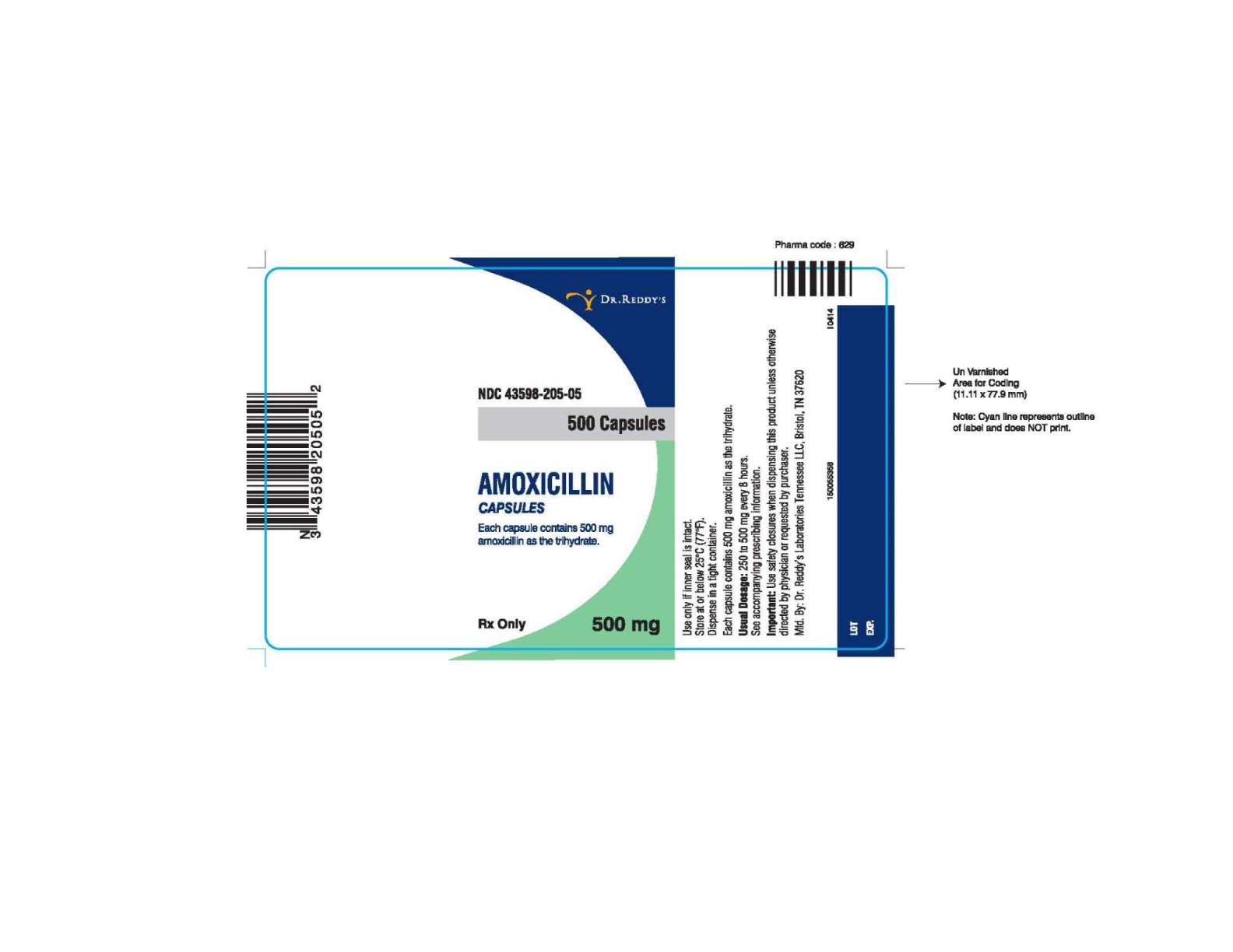 Amoxicillin Capsules Label Image - 500 mg, 500 capsules