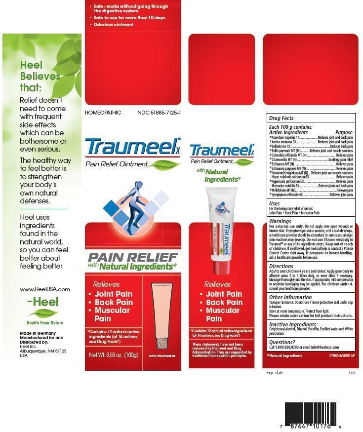 Traumeel X Ointment v.2.jpg
