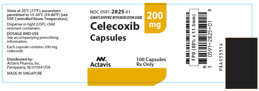 PRINCIPAL DISPLAY PANEL - 200 mg Capsule Bottle Label