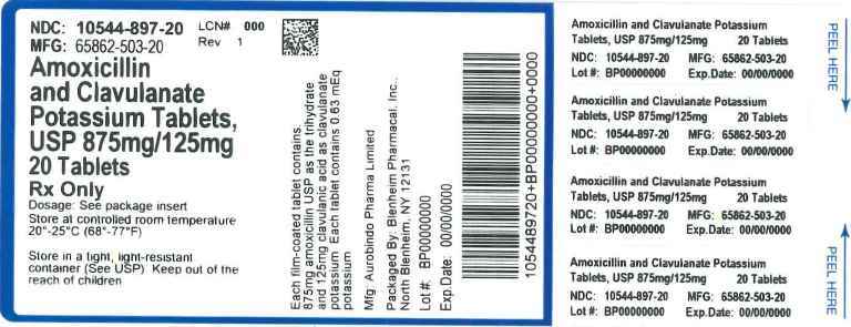 Label Graphic- 875mg/ 125mg