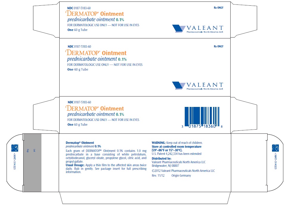 Principal Display Panel - 60g Tube Carton