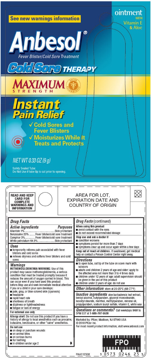 Principal Display Panel - 9 g Tube Blister Pack Label