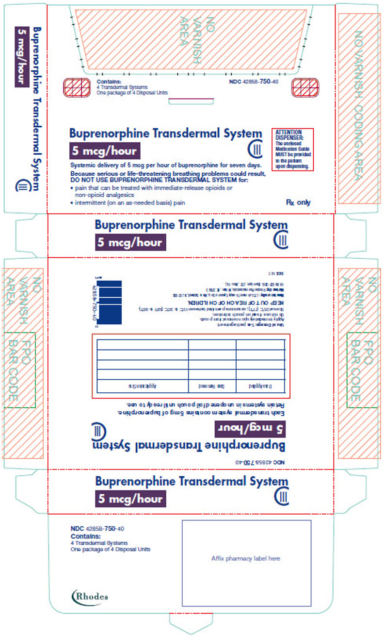 PRINCIPAL DISPLAY PANEL - 5 mcg/hour Patch Pouch Carton