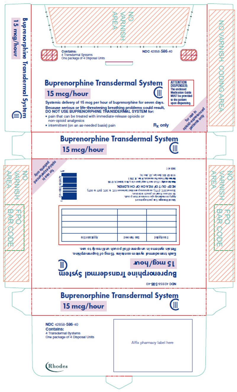PRINCIPAL DISPLAY PANEL - 15 mcg/hour Patch Pouch Carton