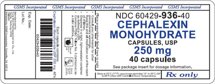 Label Graphic - 250 mg 40s