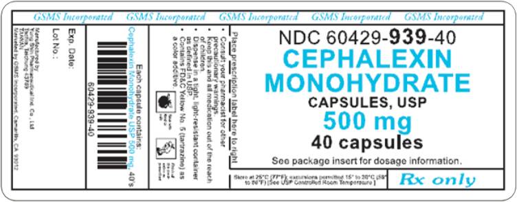Label Graphic - 500 mg 40s