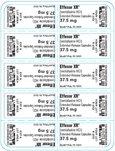 Inhaling effexor
