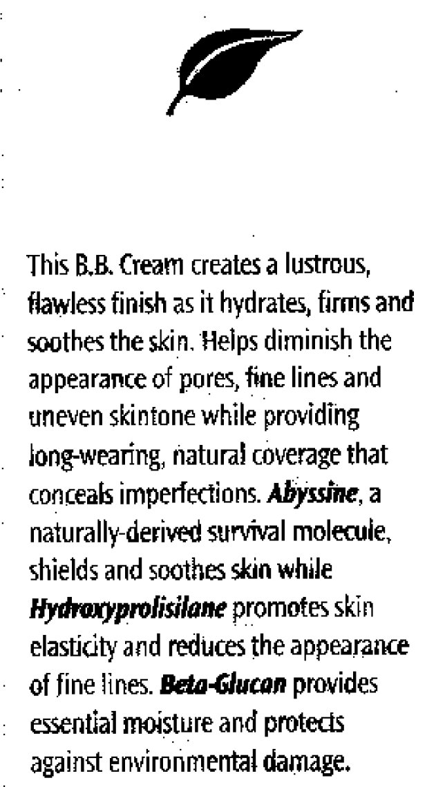BB Cream B
