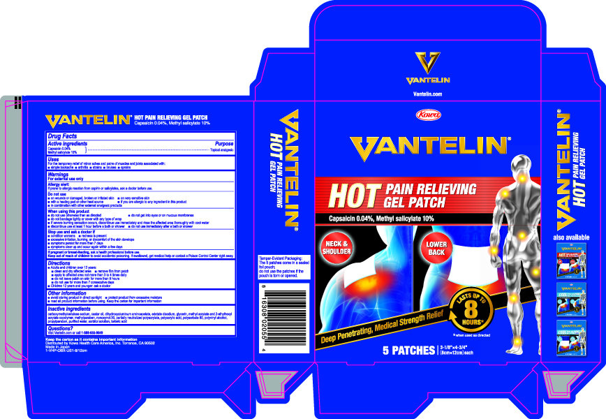 Hot Patch Carton