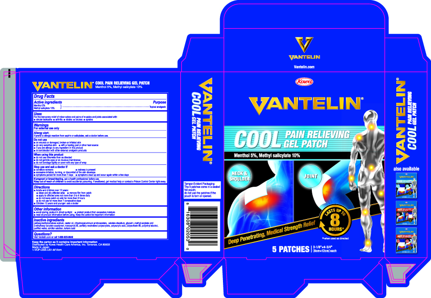 Cool Patch Carton