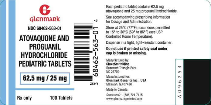 Atovaquone and Proguanil HCl Pediatric Tablets Label Image