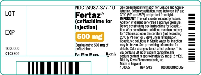 500 mg Vial