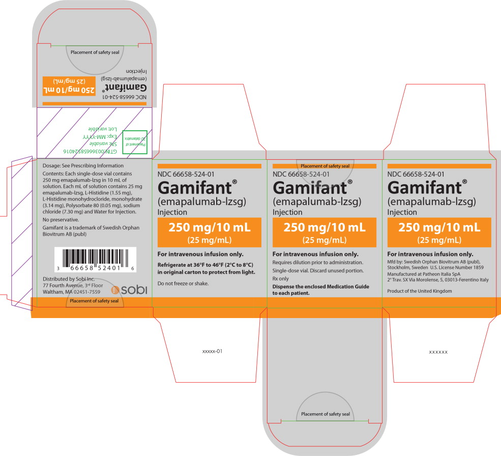 Principal Display Panel – 250 mg/10 mL Carton Label