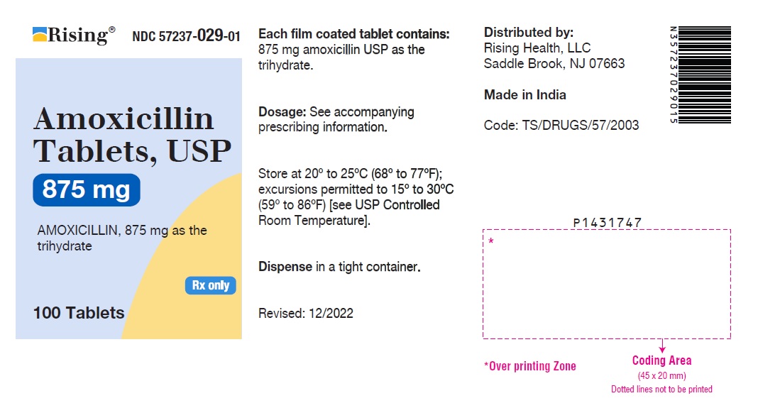 PACKAGE LABEL-PRINCIPAL DISPLAY PANEL - 875 mg (100 Tablets Bottle)