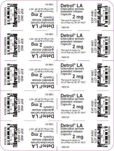 PRINCIPAL DISPLAY PANEL - 2 mg Capsule Dose Foil Pack
