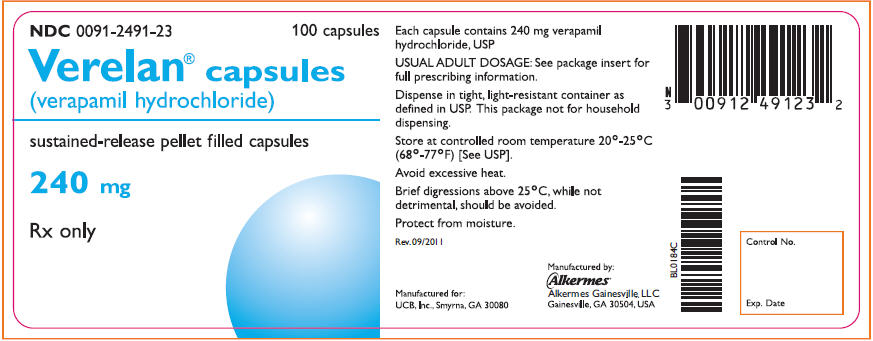 PRINCIPAL DISPLAY PANEL - 240 mg Bottle Label
