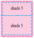 Principal Display Panel - Shade 5 Carton Label