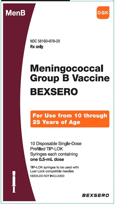 Bexsero 10 count syringe carton