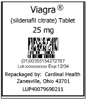 Viagra Pouch
